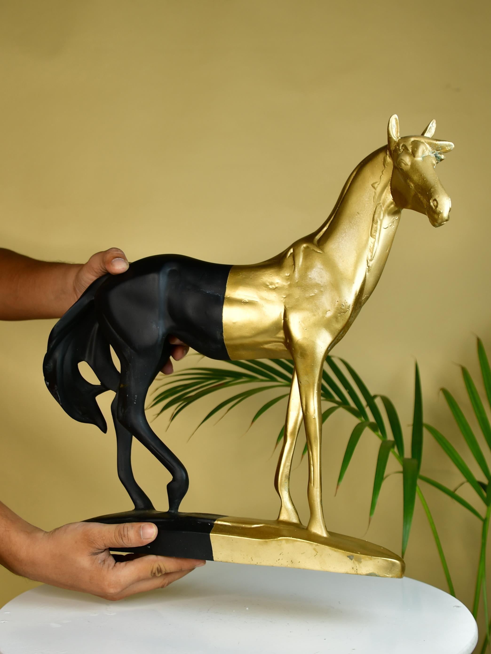 Mayii Black Gold Stallion