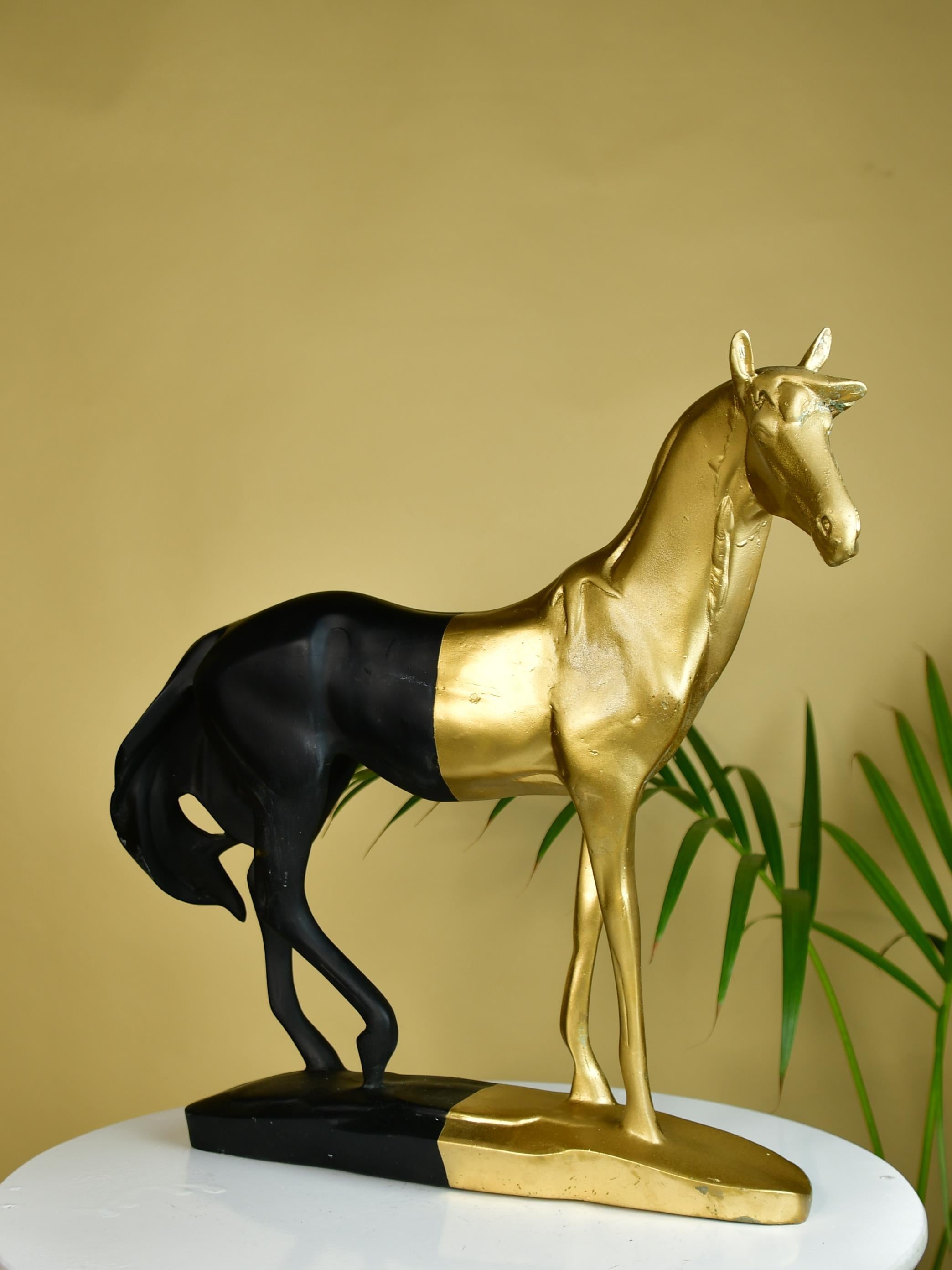 Mayii Black Gold Stallion