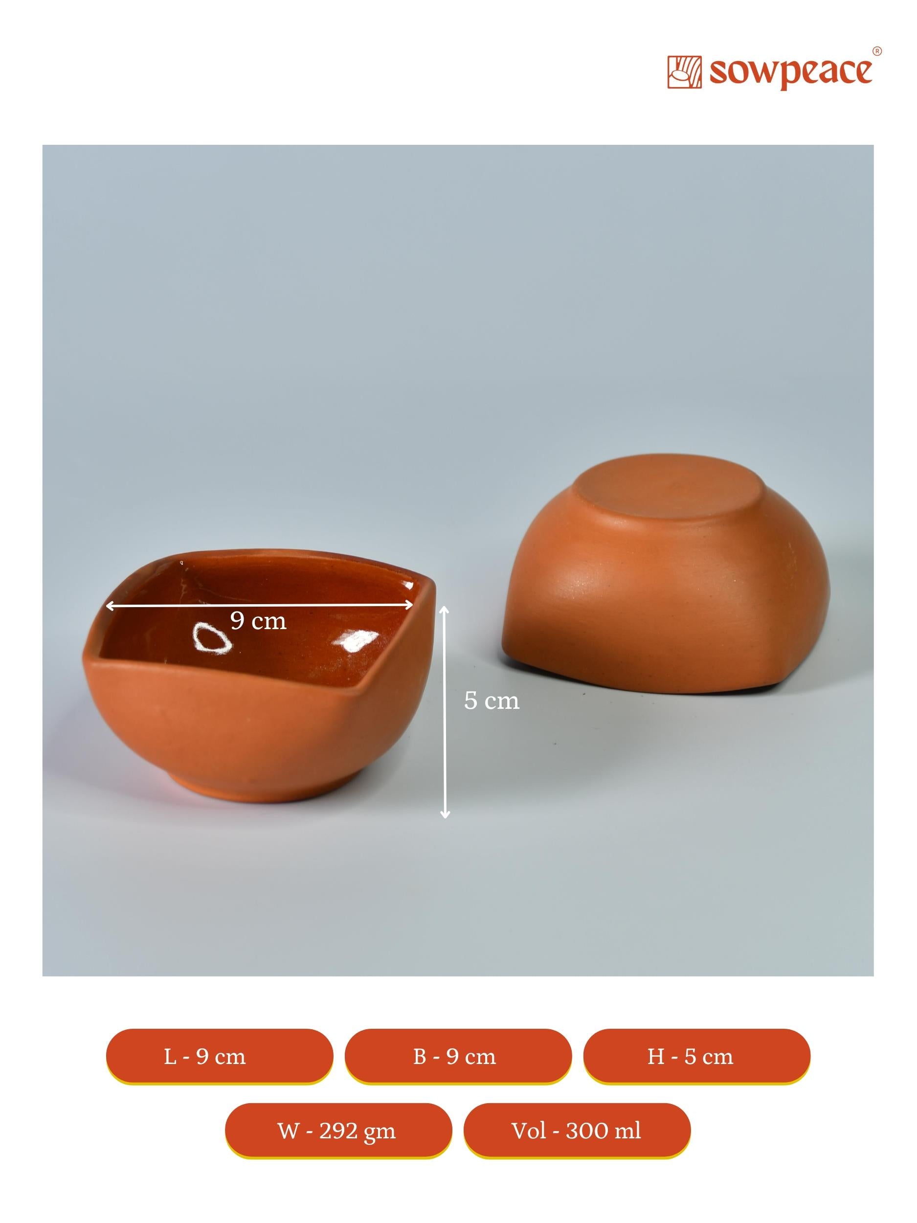 Mayii - Premium Set of 2 Terracotta Square Serving Bowls