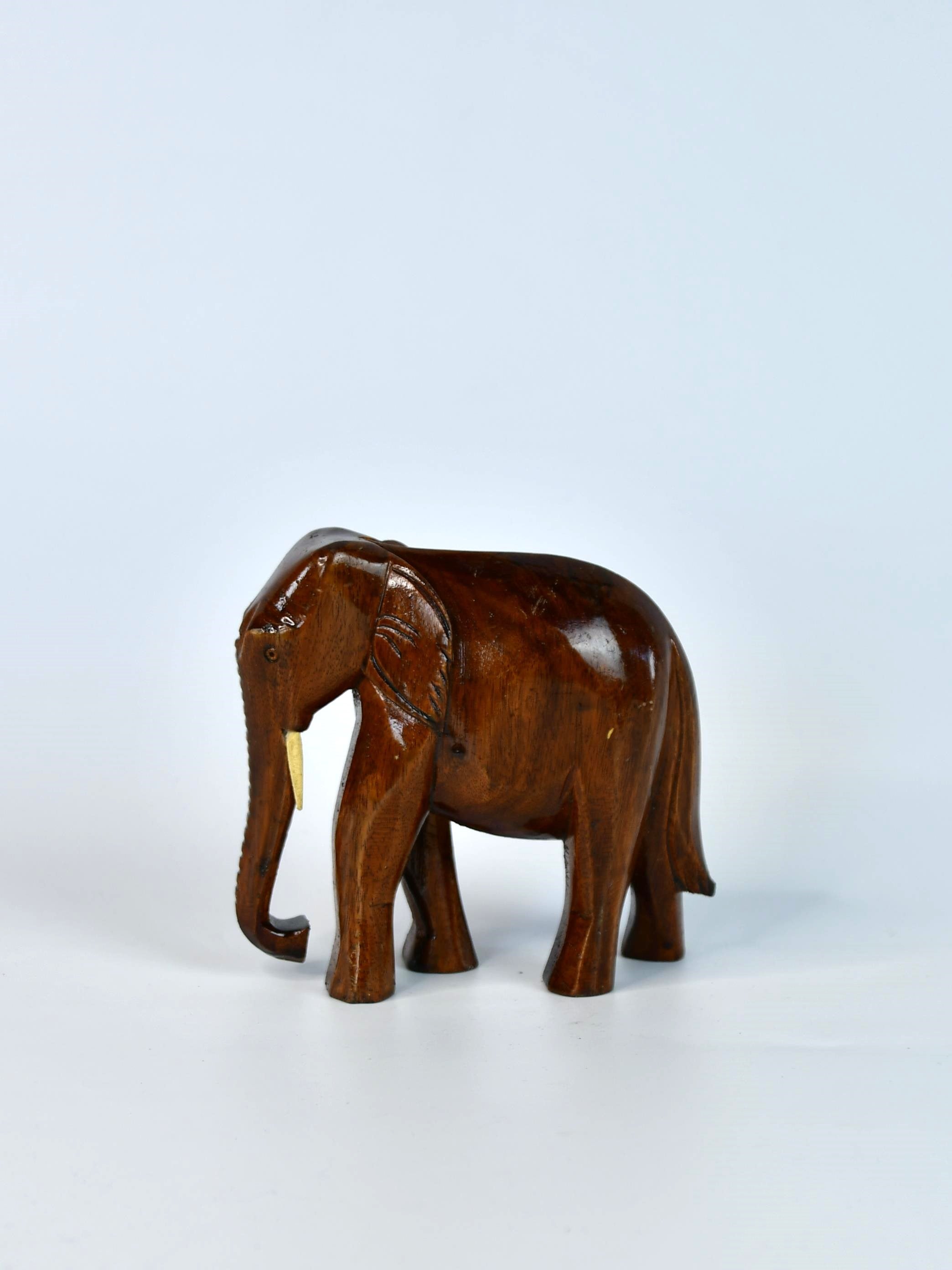 Mayii - Great Grand Calm Elephant